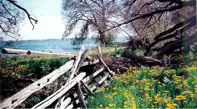 Music at Port Milford