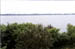 South Bay
